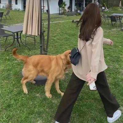 走进看守所